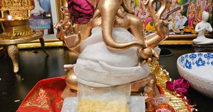 219 Jey Sangeeta Etobicoke