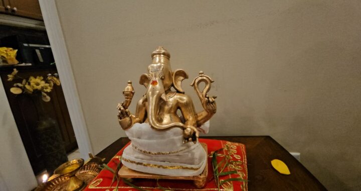 222 Madhavi Brampton Canada