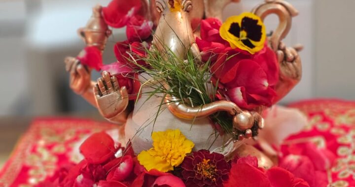 262 Swetha and Nachiket Calgary