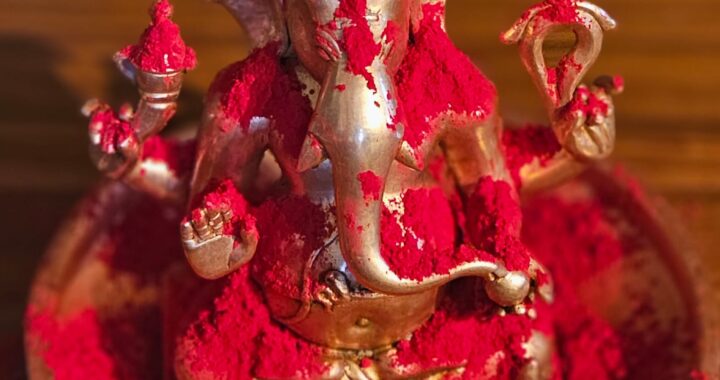 313 Calgary Alberta Canada